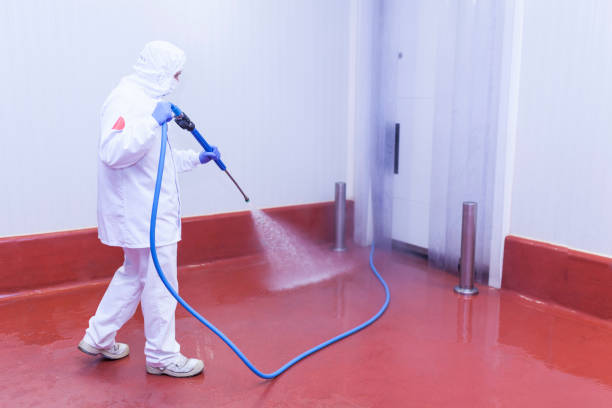 Best Spring Cleaning  in Toquerville, UT